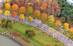 区管委会副从任、常务副市长赵山深切部 